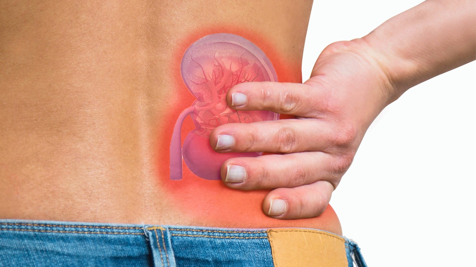 UTI treatment kidney damage